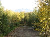 IMG_7903.jpg