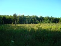 DSC01535.jpg