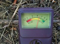 2011-08-05 17.05.57.jpg