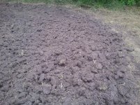 2011-08-07 13.52.09.jpg