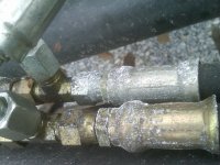IMG00664-20110408-1149.jpg