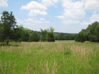 Optimized-IMG_6352.JPG