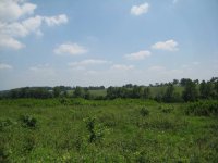 Optimized-IMG_6378.JPG