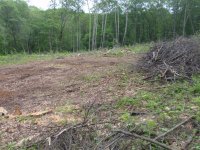 Land_clear_5-21-10 (2) (Large).JPG