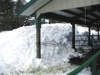 snow shed off w side barn 2008.jpg