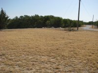 8-10-2011-Drought-1423.JPG