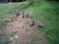IMG-20110810-00015.jpg