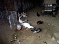 IMG-20111013-00090.jpg