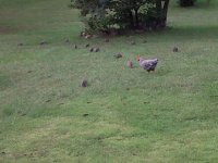 IMG-20110920-00065.jpg