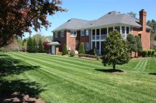 lawn pics 005 (Medium).jpg