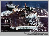 shamu on carrier.jpeg