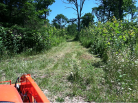 image-1335376190.png