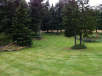 image-4100481273.png