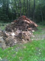 image-2567064072.jpg