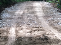 image-2951620859.png