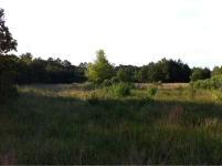 image-1948561414.png