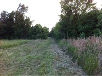 image-916663758.png