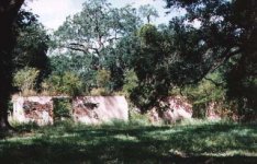 elmwood1.jpg