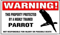warning.JPG