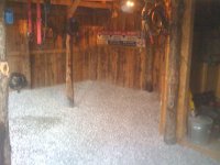 IMG_0194 (800 x 600).jpg