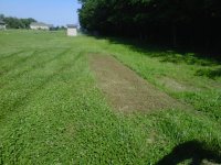 IMG01236-20110630-1736.jpg