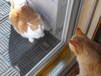 petpics08 045.jpg