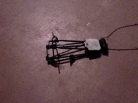 image-2055885686.png
