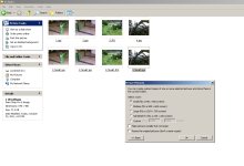 snapshot.jpg