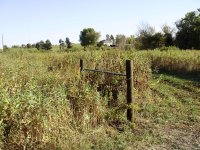farm pictures 008.jpg