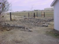 DSC06944.JPG
