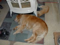 Max 006.JPG