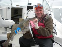 Cod 044.JPG
