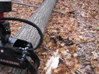 Firewood Stuff 009.jpg