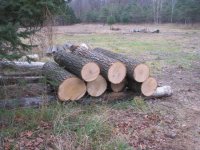 Firewood Stuff part 2 002.jpg