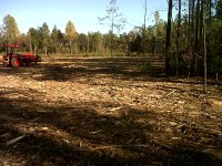 IMG-20111025-00127.jpg