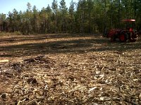 IMG-20111025-00129.jpg