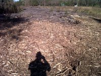 IMG-20111025-00130.jpg