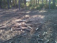 IMG-20111025-00131.jpg