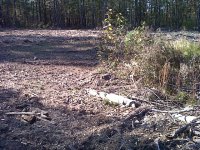 IMG-20111025-00133.jpg