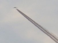 927102460.jpg