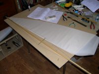 mast and sail assembly.JPG
