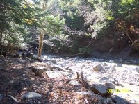 bridge 013.JPG