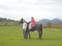 406302-horse5small.jpg