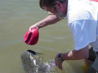 449199-fish story 005.jpg