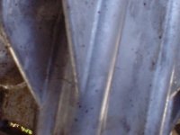 578614-DSC02247.JPG