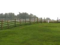 fence.JPG