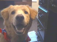 450841-Otis.jpg
