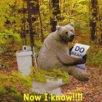 498466-bear in woods.jpg