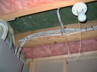 451802-fpanel.jpg