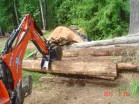 BackFence&Farm 015.JPE